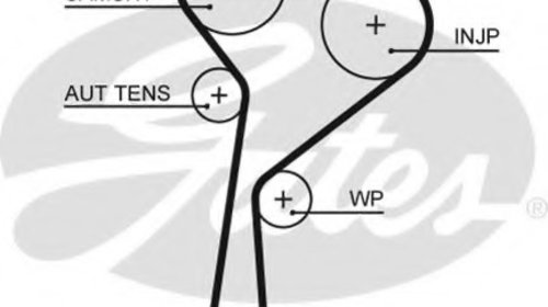Curea de distributie 5675XS GATES pentru Daci