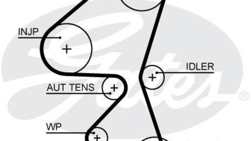 Curea de distributie 5688XS GATES pentru Ford