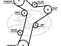 Curea de distributie (5695XS GAT) AUDI,CUPRA,SEAT,SKODA,VW