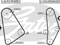 Curea de distributie ALFA ROMEO SPIDER (105) (1966 - 1977) GATES 5001 piesa NOUA