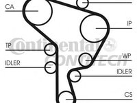 Curea de distributie AUDI A3 (8L1) - OEM - CONTITECH: CT946 - Cod intern: W02203716 - LIVRARE DIN STOC in 24 ore!!!