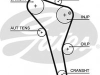 Curea de distributie AUDI A4 8D2 B5 GATES 5622XS