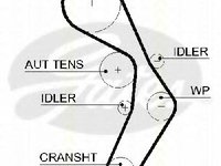 Curea de distributie AUDI A4 (8E2, B6), AUDI A4 Avant (8E5, B6), AUDI A4 Cabriolet (8H7, B6, 8HE, B7) - TRISCAN 8645 5604xs