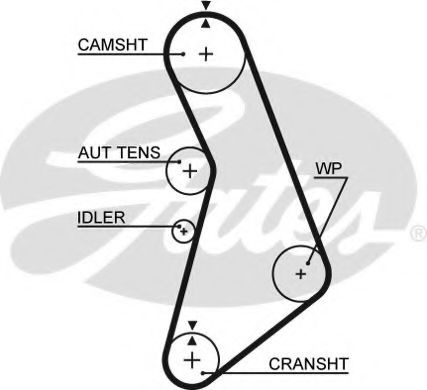 Curea de distributie AUDI A4 Cabriolet (8H7, B6, 8