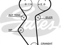 Curea de distributie CHEVROLET AVEO limuzina T250 T255 GATES 5419XS