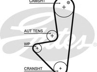 Curea de distributie CITROËN SAXO (S0, S1) (1996 - 2004) GATES 5574XS