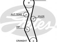 Curea de distributie CITROEN C5 II Break RE GATES 5606XS