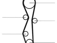 Curea de distributie CONTITECH CT1091 Peugeot 307 Sw (3H) 307 Cc (3B) 307 Break (3E) 307 (3A/C) Phedra (179) S-Max (Wa6) Mondeo 4 Limuzina (Ba7) 308 Cc Mondeo 4 Turnier (Ba7) Mondeo 4 (Ba7) Kuga 1 Gal