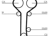 Curea de distributie CONTITECH CT978 Mazda Tribute (Ep) Mondeo 2 (Bap) Mondeo 2 Combi (Bnp) Mondeo 2 Limuzina (Bfp) Tourneo Connect Focus (Daw, Dbw) Cougar (Ec) Focus Combi (Dnw) Focus Limuzina (Dfw)