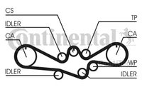 Curea de distributie CT1050 CONTITECH