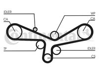 Curea de distributie CT920 CONTINENTAL CTAM pentru Audi A6 Audi A8 Audi A4 Vw Passat Audi Allroad Skoda Superb Vw Touareg Vw Phaeton