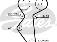 Curea de distributie DAEWOO NUBIRA (KLAJ) (1997 - 2016) GATES 5419XS piesa NOUA
