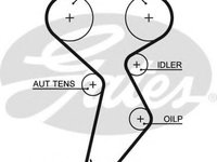 Curea de distributie FIAT BRAVA (182) (1995 - 2003) GATES 5432XS