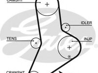 Curea de distributie FIAT DUCATO bus (230) (1994 - 2002) GATES 5335XS