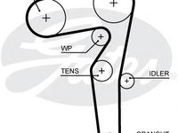 Curea de distributie FIAT IDEA, LANCIA MUSA (350), FIAT PUNTO (199) - GATES 5646XS