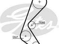 Curea de distributie FIAT PALIO (178BX) (1996 - 2016) GATES 5628XS