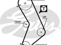 Curea de distributie FIAT PANDA (169) (2003 - 2020) GATES 5545XS