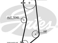 Curea de distributie FIAT PANDA (169), FIAT PANDA Van (169) - GATES 5626XS