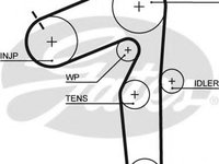 Curea de distributie FIAT PUNTO (188) (1999 - 2016) GATES 5462XS piesa NOUA