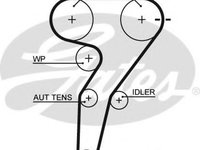 Curea de distributie FIAT PUNTO (188) (1999 - 2016) GATES 5429XS