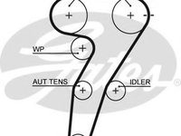 Curea de distributie FIAT PUNTO (188) (1999 - 2016) GATES 5469XS