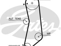 Curea de distributie FIAT PUNTO (188), FIAT PALIO limuzina (178_), FIAT DOBLO (119) - GATES 5627XS