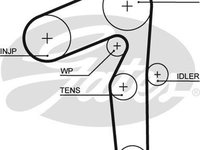 Curea de distributie FIAT PUNTO 188 GATES 5500XS