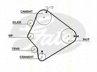 Curea de distributie FORD ECONOVAN (KBA, KCA), SUZUKI SIDEKICK (ET, TA), KIA SPORTAGE (K00) - TRISCAN 8645 5355xs