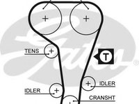 Curea de distributie FORD ESCORT CLASSIC Turnier (ANL) (1999 - 2000) GATES 5360XS