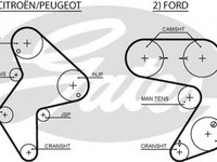 Curea de distributie FORD ESCORT VII GAL AAL ABL GATES 5248XS