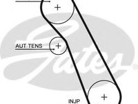 Curea de distributie FORD FOCUS C-MAX (2003 - 2007) GATES 5541XS piesa NOUA