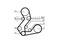 Curea de distributie Ford P 100 Mk II 1987-1992 #2 085AHD22