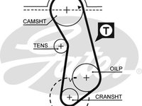 Curea de distributie (GAT5016 GATES) AUDI,PORSCHE,SEAT,VW