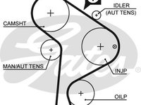Curea de distributie (GAT5223XS GATES) AUDI,SEAT,VW