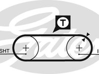 Curea de distributie (GAT5246 GATES) AUDI,VW