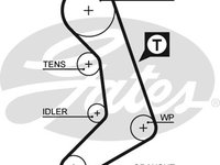 Curea de distributie (GAT5398XS GATES) VOLVO,VW