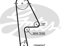 Curea de distributie (GAT5529XS GATES) HONDA