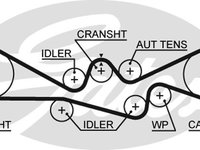 Curea de distributie (GAT5537XS GATES) SUBARU