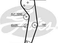 Curea de distributie (GAT5569XS GATES) AUDI,FORD,SEAT,SKODA,VW