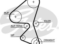 Curea de distributie (GAT5587XS GATES) Citroen,FORD,FORD ASIA / OCEANIA,MAZDA,PEUGEOT,TOYOTA