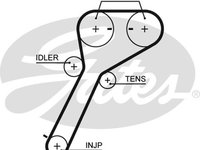 Curea de distributie (GAT5651XS GATES) FORD,FORD ASIA / OCEANIA,FORD AUSTRALIA,MAZDA