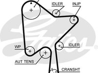 Curea de distributie (GAT5686XS GATES) VOLVO