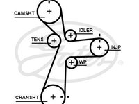 Curea de distributie (GAT5696XS GATES) HYUNDAI,KIA