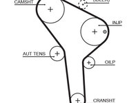 Curea de distributie GATES 5564XS