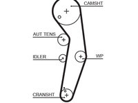 Curea de distributie GATES 5569XS