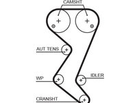 Curea de distributie GATES 5608XS