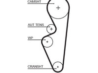 Curea de distributie GATES 5670XS