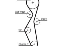 Curea de distributie GATES 5672XS