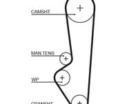 Curea de distributie GATES T107RB