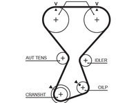 Curea de distributie GATES T313